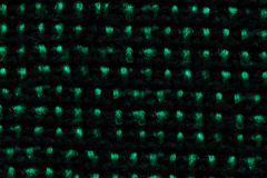 B04