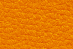 D24