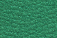 D55