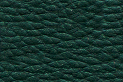 D56