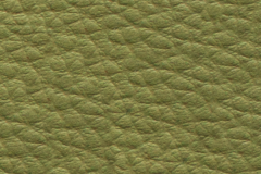 D58